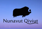 Qiviut yarn, qiviut socks, qiviut hat, qiviut scarf from muskox